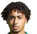 https://img.cqktw.com/img/football/player/347a6d58ae7ec0425a4d42bc9215c411.png