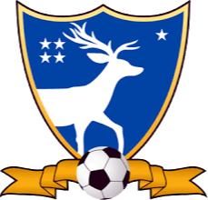 https://img.cqktw.com/img/football/team/3c5892610a922e20fdba01565fa6643b.png